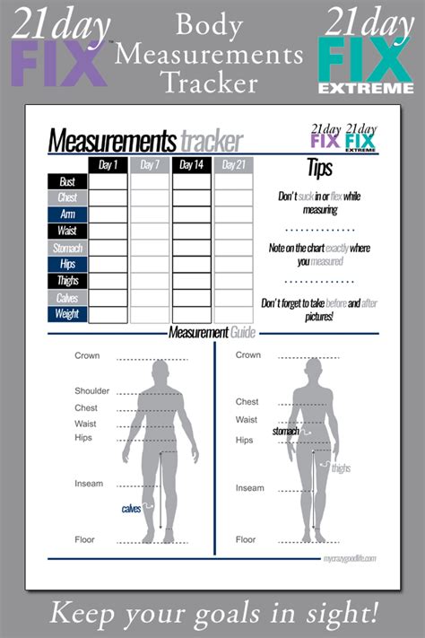 Details on Body Measurements and Fitness Regimen