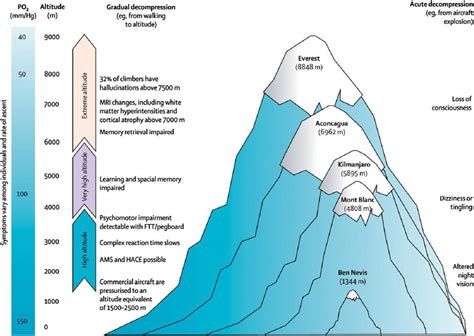 Details on Years, Elevation and Physique