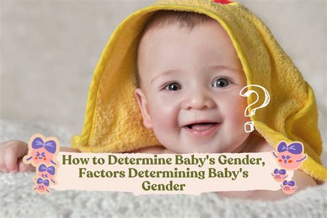 Determining the Gender of Your Baby: Fact or Fiction?