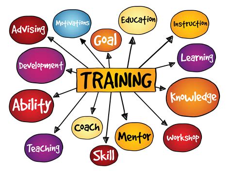 Developing Vital Skills through Training Programs