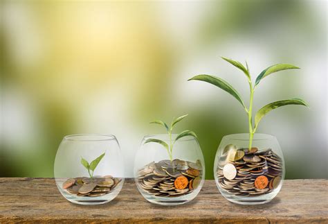 Developing a Sustainable Plan for Growing and Managing Your Wealth