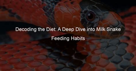 Diet and Feeding Habits: Decoding the Eating Patterns of this Mysterious Serpent