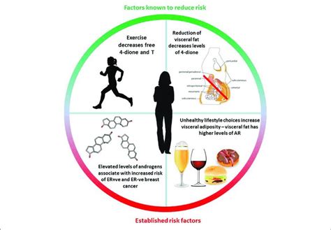 Diet and Lifestyle Factors Impacting the Onset of a Parched Oral Cavity