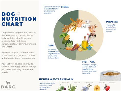 Diet and Nutrition: Properly Feeding a Wolf