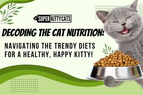 Diet and Nutrition Tips from Kitty Socal for a Wealthy Lifestyle