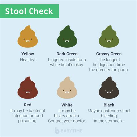 Different Causes of Green Stool