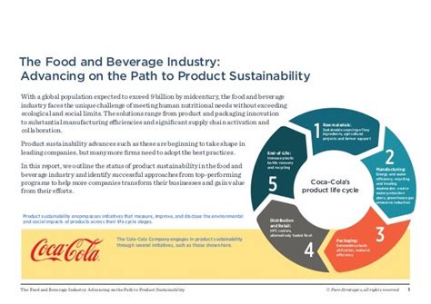 Different Paths to Explore in the World of Beverages