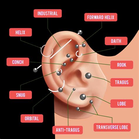 Different types of ear piercings to consider