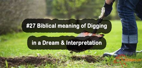 Digging for Answers: How Dream Analysis Can Provide Clarity in Your Life