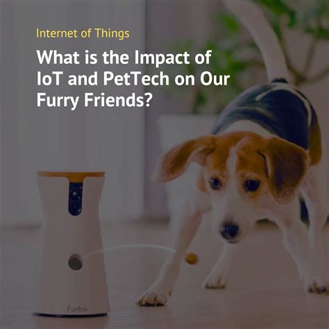 Digital Companions: How Technology is Transforming our Relationship with our Furry Friends