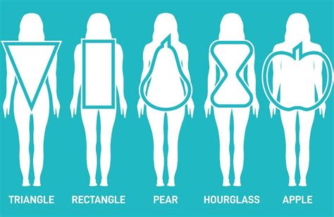 Dimensions and Body Shape of the TimeSluts