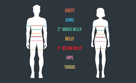 Dimensions and Physique Metrics