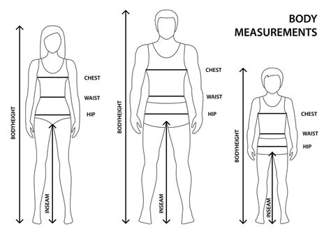 Dimensions and Physique of the Artist