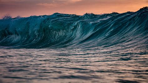 Dipping Your Toes: Exploring the Enchantment of Towering Ocean Waves