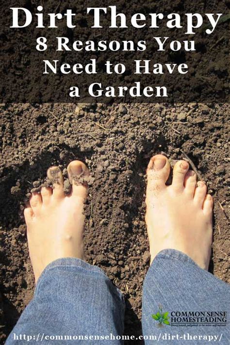 Dirt Therapy: The Healing Power of Gardening