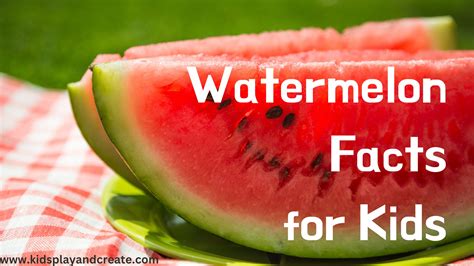 Discover Fascinating Watermelon Trivia to Astonish Your Companions