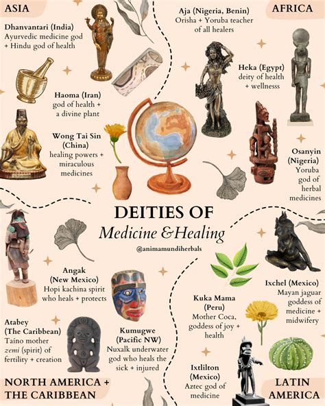 Discover Goddess Doc's Health and Wellness Routine