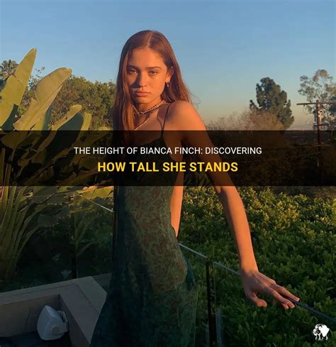 Discover How Tall She Stands!