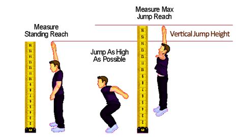 Discover Jessica Joy's Vertical Measurement