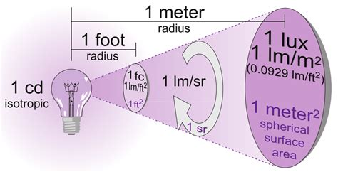 Discover Lovenia Lux's Vertical Measurement