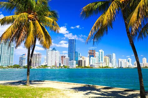 Discover Miami's Remarkable Stature