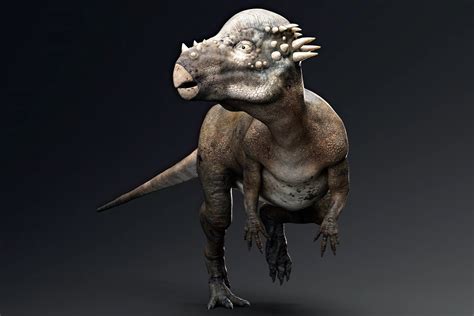 Discover the Ancient Dynahsaur Species