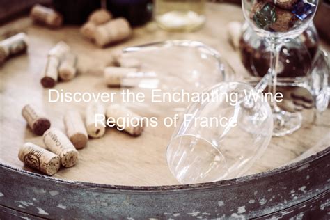 Discover the Enchanting Wine Regions to Explore