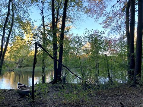 Discover the Enchantment of Camping Amidst Nature's Tranquility