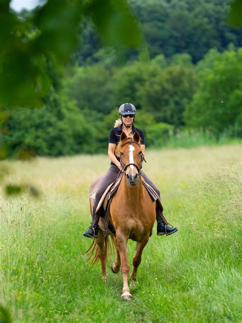 Discover the Excitement of Equestrian Adventure