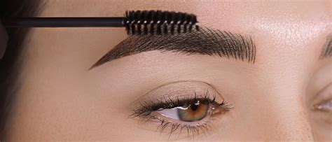 Discover the Expertise of Professional Brow Services