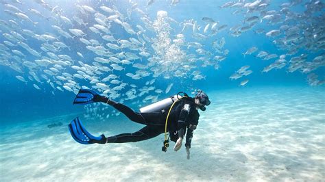 Discover the Majestic Underwater World with Snorkeling and Diving