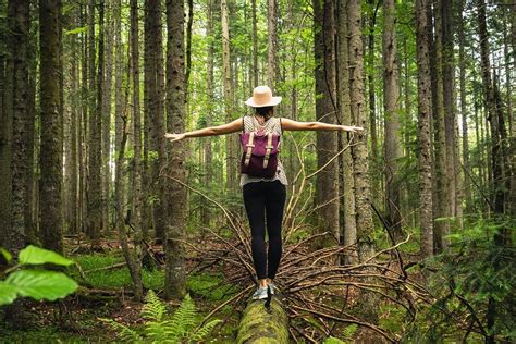 Discover the Productivity-Boosting Benefits of Immersing Yourself in Nature