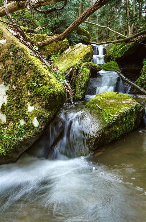 Discover the Thrills of Outdoor Adventure in Stunning Beaver Creek