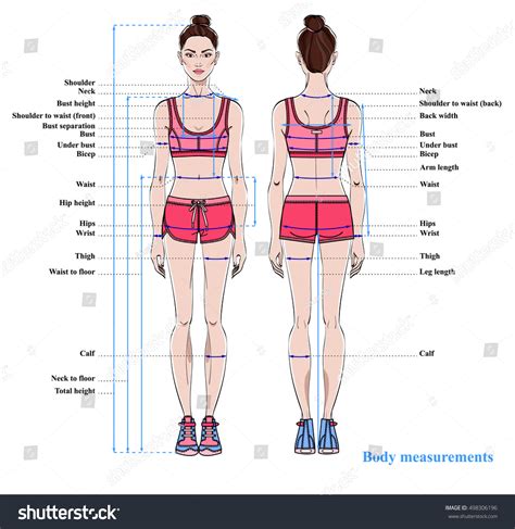 Discover the model's body dimensions