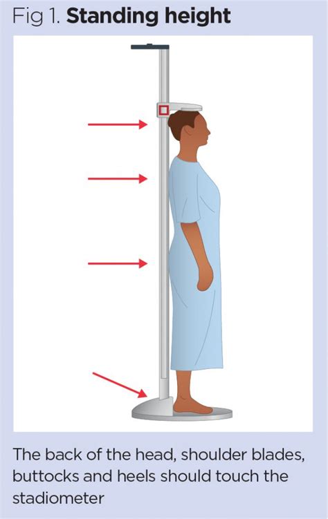 Discover the precise measurement of how tall she stands