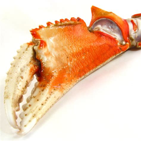 Discovering Alternative Options: Substitutes for Crab Legs for Seafood Enthusiasts