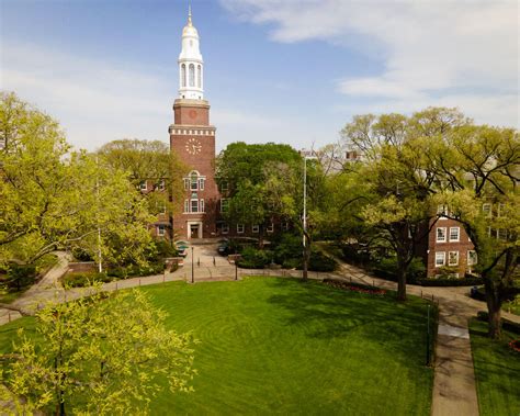 Discovering Brooklyn Bush's background and education