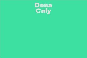 Discovering Dena Caly's Total Value and Incomes