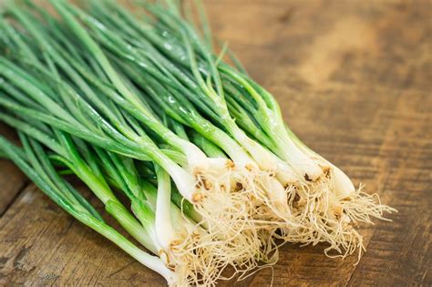 Discovering Different Spring Onion Varieties