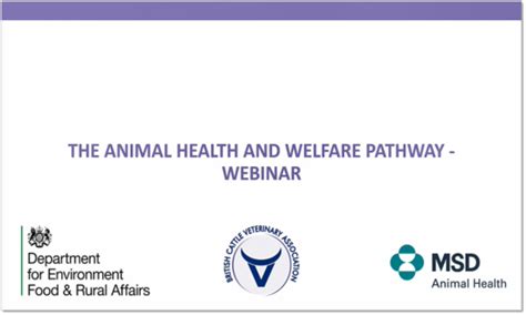 Discovering Diverse Career Pathways in the World of Animal Welfare