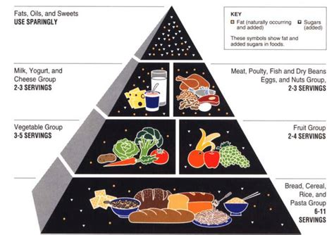 Discovering Eliza Beth's Food Choices and Nutrition Schedule