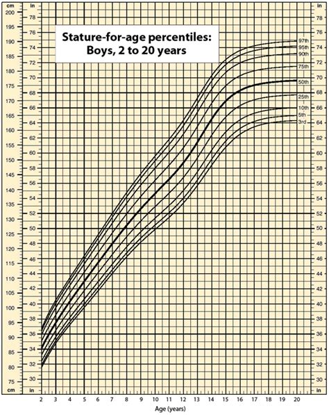 Discovering Evie's Years and Stature Measurements