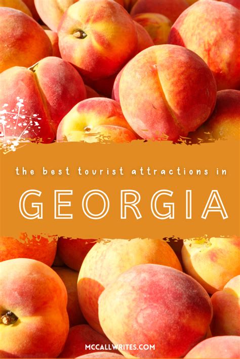 Discovering Fascinating Information about Georgia Peach