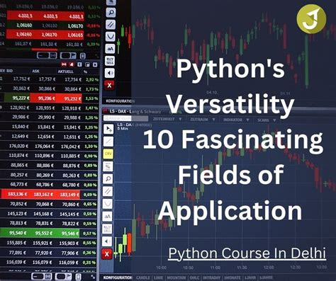 Discovering Python's Versatility: Applications in Different Fields