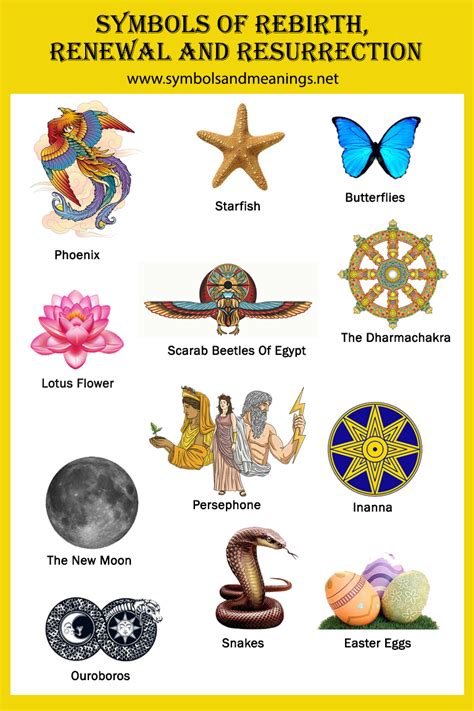 Discovering Rebirth and Progress in Symbolism