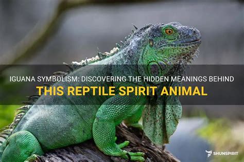 Discovering Various Species of Reptiles and their Symbolic Meanings in Dreamscapes