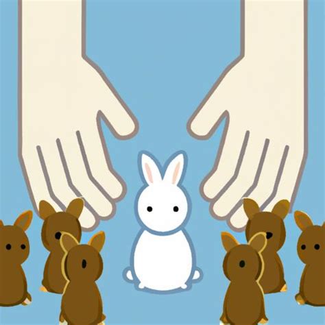 Discovering Your Ideal Companion: Selecting the Perfect Bunny for Your Lifestyle