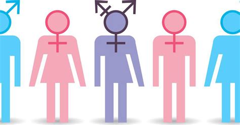 Discovering a New Identity: Exploring the Dimensions of Gender