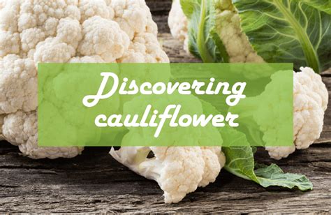 Discovering the Advantages of Cauliflower