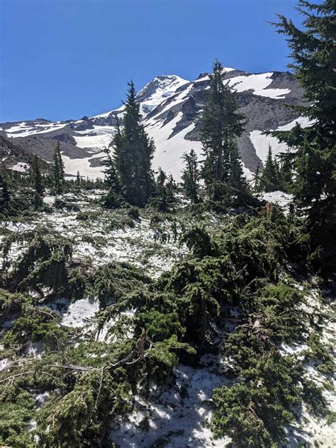 Discovering the Age of Strawberry Avalanche